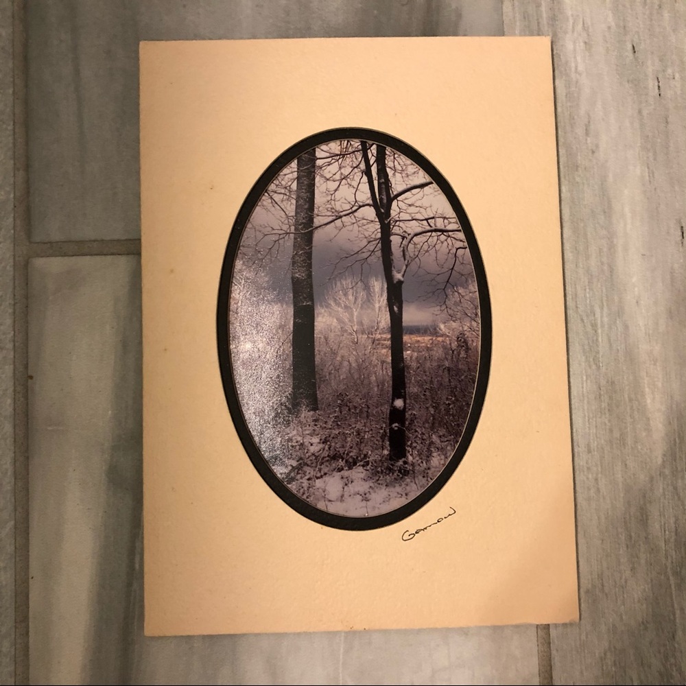 VTG Barry Gamow signed photograph - trees